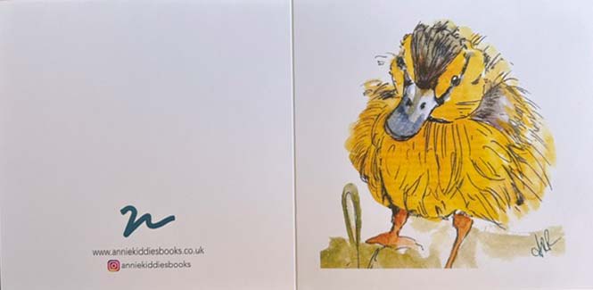 Illustrated Greetings Cards - Fluffy Chick